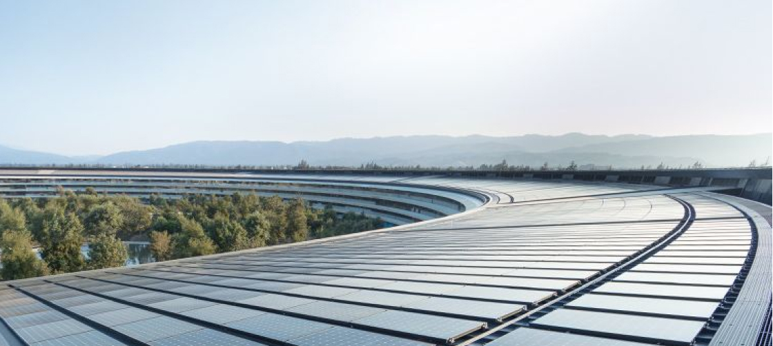 From Startup to Market Leader in 18 Months